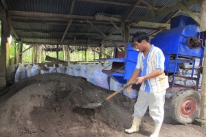 Santos digs pile of organic fertilizer ready for packing. Behind him are sacks of organic fertilizer and the sifter machine hat hasten packing of fertilizer to at least 100 sacks per day. (Photo by Sherwin Manual)