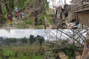Various Areas in Region 6 that was hit by Typhoon Yolanda