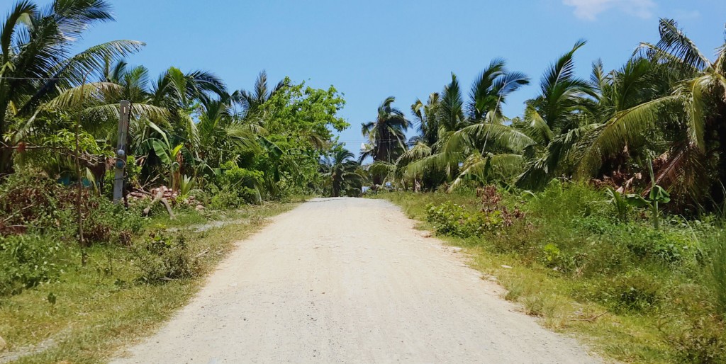 Geotagged photos of the soon-to-be concreted Mangagawa-Capuluan Central FMR in Guinayangan, Quezon