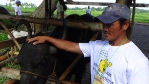 Mr. Fidel C. Rana, a resident of Brgy. Casate, Ubay, Bohol and a potential farmer-beneficiary of the proposed Bohol Carabao Dairy Processing and Marketing Enterprise sub project under the PRDP poses with one of his hi-breed dairy animals