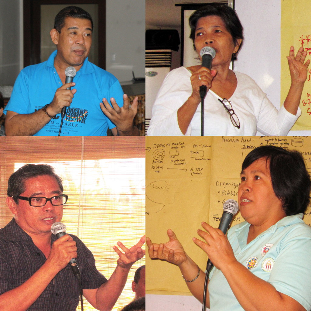 VOICE-OUT. Palawan PCA Senior Agriculturist Raul Aguilar (upper left), Makakalikasan Farmers Group representative Nelda Garados (upper right), E-Telligent Solutions consultant Nixon Edora (lower left), and IDEAS representative Aurea Garinga (lower right) voice out their concerns about the coconut industry in Palawan. (Photos by Jaygine Mayoralgo, DA-PRDP PSO South Luzon I-PLAN, and Gumamela Celes Bejarin, DA-PRDP PSO South Luzon InfoACE Unit)