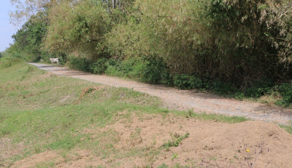 RUGGED AND CROOKED. The Improvement of Capaoayan- Banaoang- Ablang Sapang Farm-to-Market Road in Moncada, Tarlac will address the municipality’s problem on narrow access roads and slow transportation.