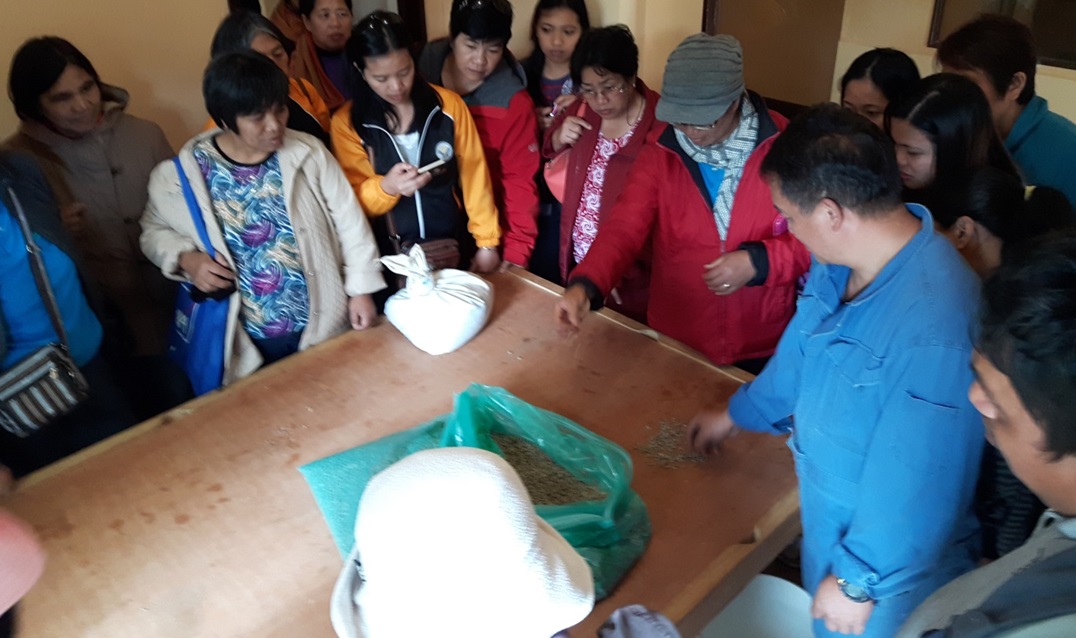 On-site demonstration of sorting of coffee green beans at the processing center of Sagada Coffee Growers Peoples Organization (SACGPO) demonstrated by Vincent Andawe, the manager of the organization.