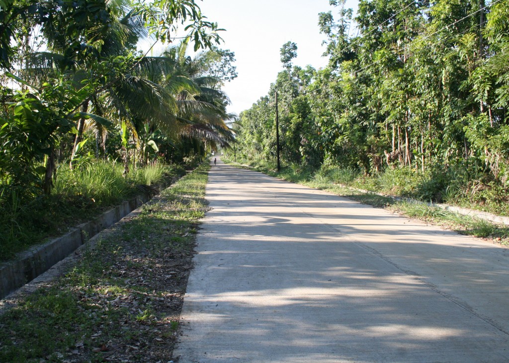 This is a completed portion of the farm-to-market road in Brgy. Macatoc, Victoria, Oriental Mindoro. (Photo by Leira Vic Colongon, DA-PRDP RPCO 4B InfoACE Unit)