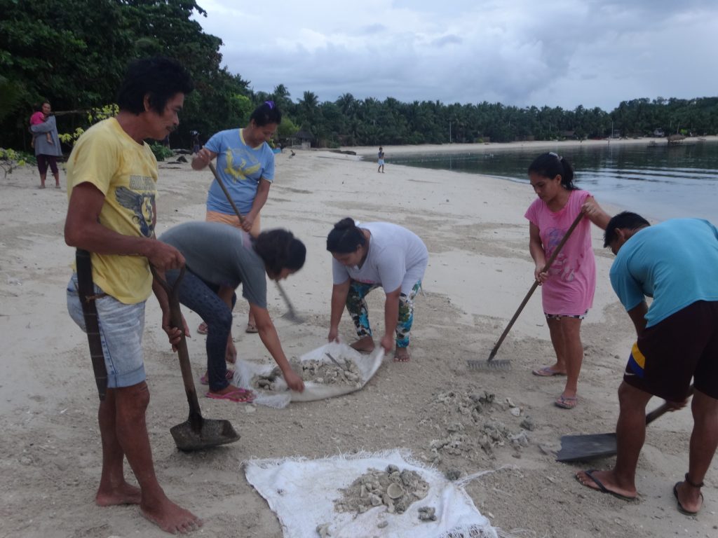 A team of concierge clearing the trashes and sharp stones at the shoreline of Brgy. Resureccion, San Fernando, Masbate. (Photo by: Michelle Angela G. Alfigura, DA-PRDP RPCO V InfoACE Unit)