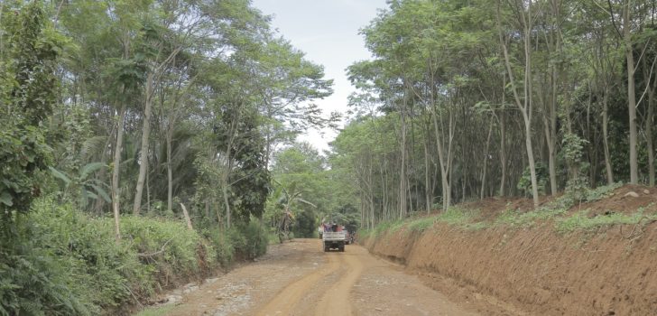 A portion of the San Miguel-Kalagonoy farm-to-market road (FMR) in Gingoog City has started its implementation. The 5.5-kilometer road network has been tagged as a “peace road” by Mayor Stella Guingona. It is expected to bring more development in the barangays which are the farthest from the town center. Photo by Gian Enrique/PSO Mindanao