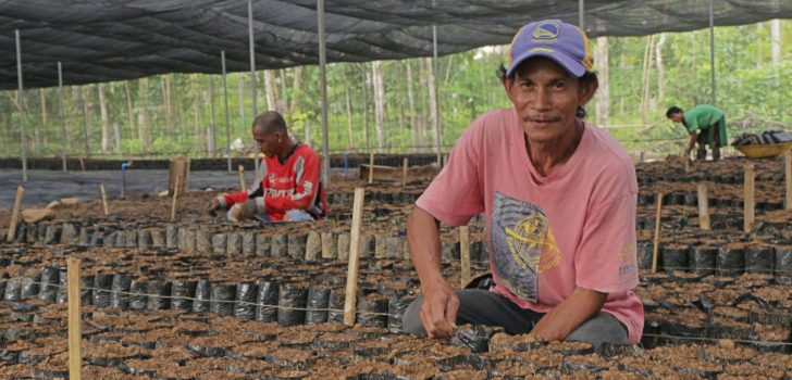 A farmer readies seedbeds for cacao seedlings in this nursery in Piñan, Zamboanga del Norte. Nursery operations is one of the components of the P33-million cacao enterprise project in the province, with the aim of increasing production, improving postharvest support and marketing. The project will be implemented in two packages, the first one amounting to P33 million. Photo by Sherwin Manual/PSO Mindanao